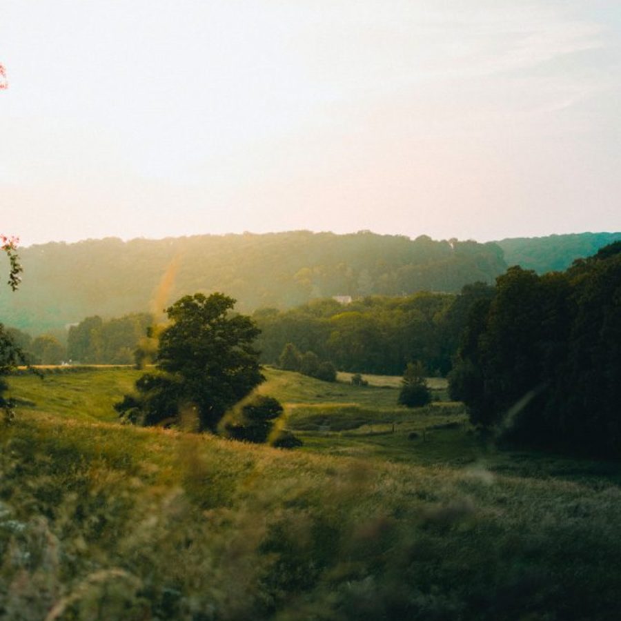 campagne normande paysage